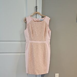 ANTONIO MELANI Blush Lace-Front Sheath Dress/ Sheer Cardigan